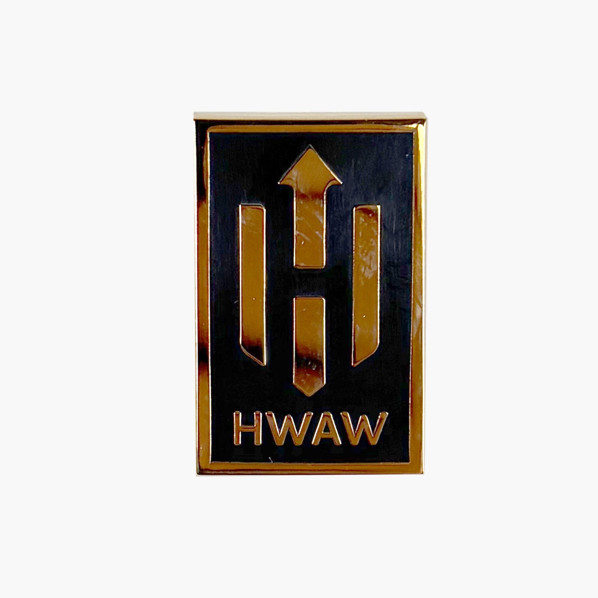 Pin de Solapa de Miembro